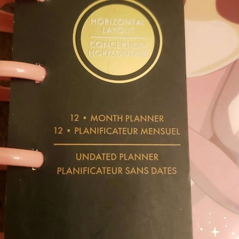 Disney Princess undated planner. New